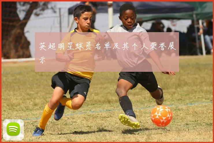英超明星球员名单及其个人荣誉展示
