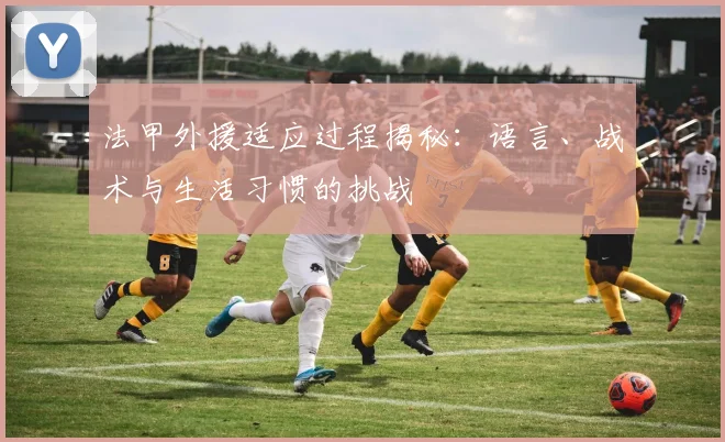 法甲外援适应过程揭秘：语言、战术与生活习惯的挑战
