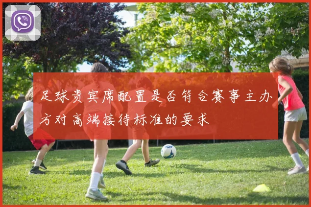 足球贵宾席配置是否符合赛事主办方对高端接待标准的要求