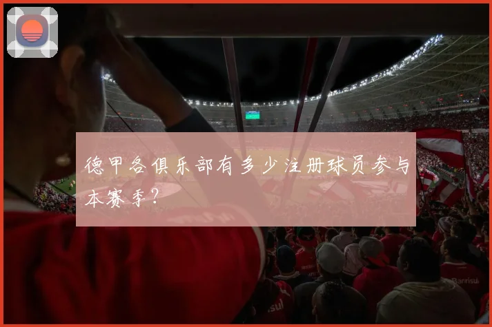 德甲各俱乐部有多少注册球员参与本赛季？