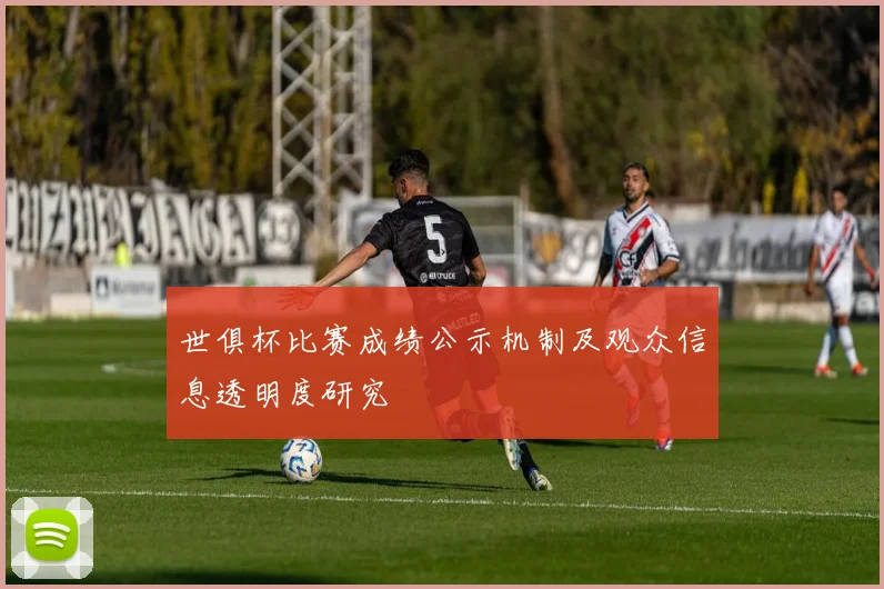 世俱杯比赛成绩公示机制及观众信息透明度研究