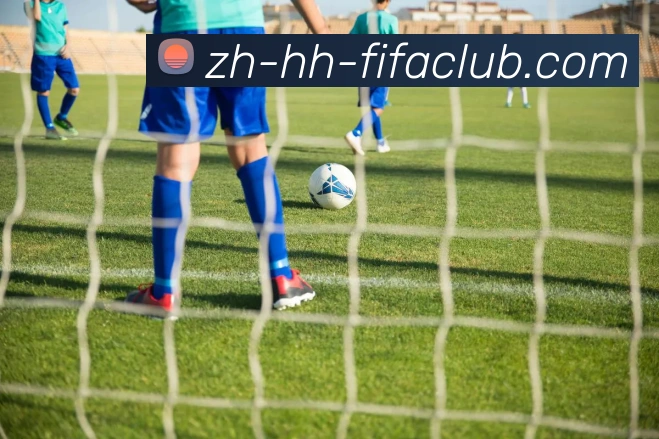 世界杯买球平台生态图